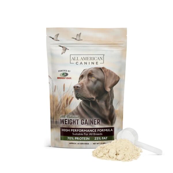 Weight Gainer for Dogs